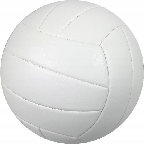 Volleyball-professionel