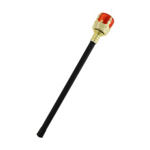 Kongens gyldne scepter