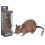 Rotte 1