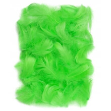 Grønne fjer 5-12 cm 10 g