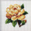 Korssting - Te Rose 1