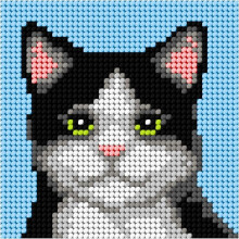 Broderi. Mit første broderi - Sort kat