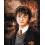 Maleri efter tal - Harry Potter 40x50cm 1