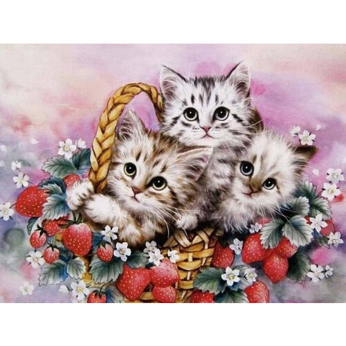 Diamantbroderi Søde Katte Tre 35x45 cm