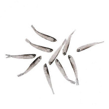 Soft Plastic Fishing Lure Kit