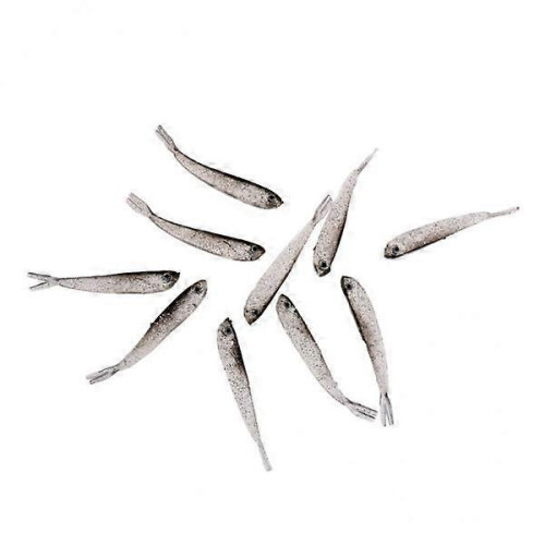 Soft Plastic Fishing Lure Kit