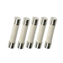 5PCS 12A 250V Ceramic Fuse 5x20mm Fast Blow for Electronics & Appliances