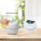 Mini Desktop Waste Bin,round Press-type Trash Bin With Lid,plastic Small Garbage 4