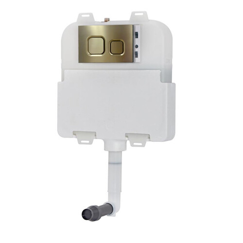 NES Home Dual Flush Concealed Cistern and Brushed Brass Push Button 1