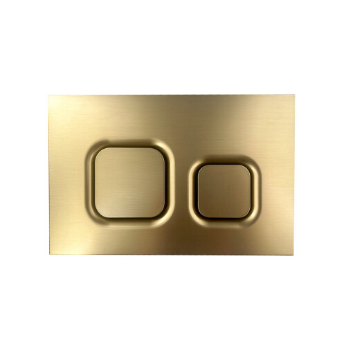 NES Home Dual Flush Concealed Cistern and Brushed Brass Push Button 2