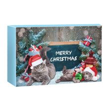 (Model A) Cat Toys Christmas Advent Calendar Xmas 24pcs Toys Surprise Gift for Pets