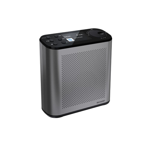 Sharp SHARP DR-P530(GY) OSAKA Portable Digital Radio-Grey 2