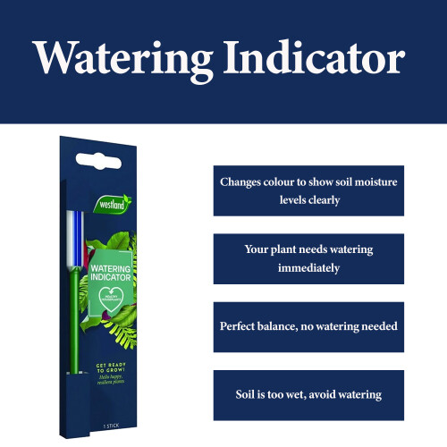 Westland Westland Watering Indicator Plant Stick House 1