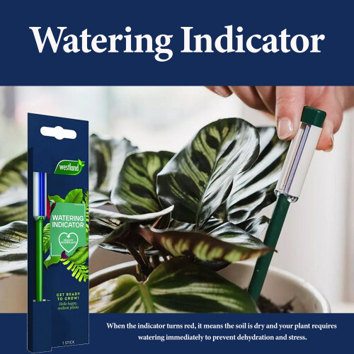 Westland Westland Watering Indicator Plant Stick House 2