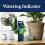Westland Westland Watering Indicator Plant Stick House 7