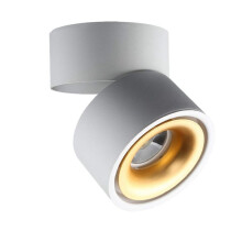 Downlight LED Encastré 12W Non Dimmable Rotatif COB Projecteur 4000K pour Salon Cuisine Blanc
