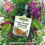 Natures Aid Natures Aid Ginger Turmeric & Bromelain 60 Tablets 6