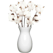 2025 Suitable 10 Pack Natural Cotton Flowers Dried Flowers Cotton Stem Natural Flower Fake Cotton Branches Fake