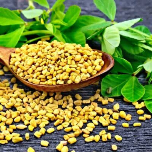 1kg Organic Fenugreek Seeds (Methi)