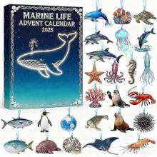(MarineBOX) 2025 Christmas Advent Calendars Decoration Acrylic non-3D Full style A