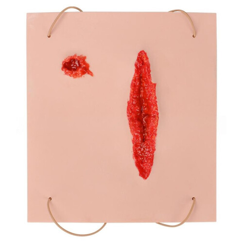 Trauma Model Wound Simulation Skin Module ForTraining, Realistic Operative Trauma