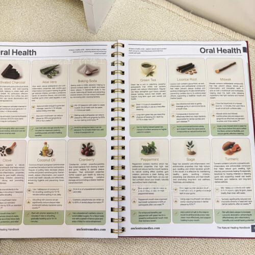 Herbal Medicine Notebook Bullet Journal Blank Pages Clear Layout Beautiful Patterns 2