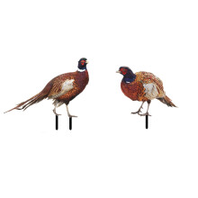 Panneau décoratif double face Poaug en acrylique pour jardin, jardin et animaux (lot de 2) - Disponible en promotion - Couleur kaki