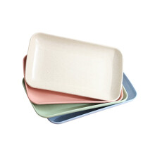Assiettes plates Kuyiluo, lot de 4, incassables, pour micro-ondes et réutilisables.