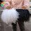 Ostrich feather trim ribbon black white multicolor 1m 2