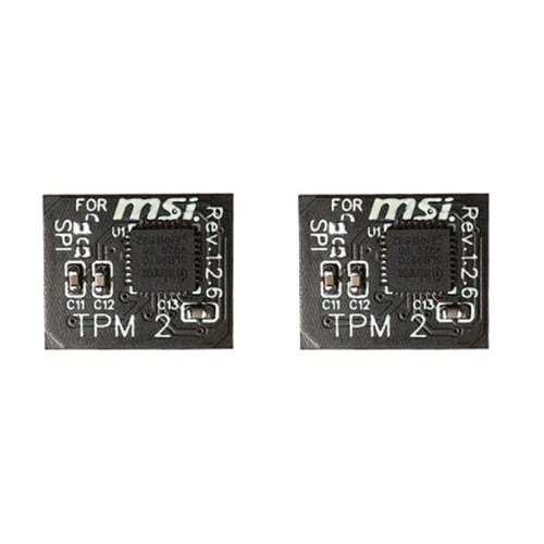 2X TPM 2.0 Encryption Security Module Remote Card 12 Pin SPI TPM2.0 Security Module for MSI Motherboard