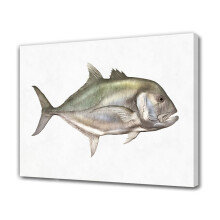 Affiche sur toile avec peinture de poisson, décoration de chambre, paysage sportif, décoration de bureau, cadeau, style encadré, 20 x 30 cm (8 x
