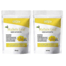 (40pcs 2bags) Mullein Leaf Tea Bags Herbal Lung Cleansing Breathing Cough Relieve Tea hh_qlsg