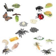 Life Cycle Figurines Of Butterfly Spider Bee Ladybug Dragonfly, Plastic Insect Bug Figures Toy, Sch
