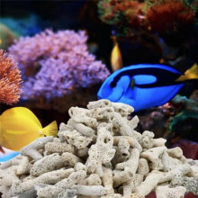 Crushed Coral Filter for Aquarium,Fish Tank Crushed Coral for Freshwater Aquarium Ph Aquarium Bio Filter Media Bag