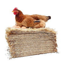 Premium Laying Hen Nesting Pads, Farm Ranch Hen Nesting Mat Square Coconut Chicken Nest Hen Egg Nesting Mat