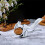 Hazelnut Nut Pliers Squirrel Shaped Walnut Pecan Nutcracker Sheller Sheller Kitchen Tools Shelling Pliers 4