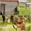 Seven Snipers (2026) Blu-ray 1080P BD English 3