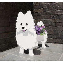 Pota Bláthanna Madraí Pomeranian, Maisiúcháin Ghairdín Peataí Gleoite le hÚsáid Laistigh agus Lasmuigh