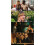 Role Play (2024) Blu-ray 1080P BD 2