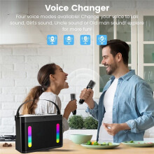 Subwoofer Wireless Speaker Colorful Light Portable Family Party Karaoke Machine with 2 Microphones Stereo