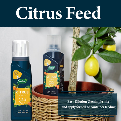 Westland Westland Citrus Feed Concentrate 200ml 2