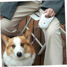 SLKXV Retractable Dog Lead Purple Telescopic Pet Leash 3M 5M Durable Control Walking