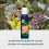 Westland Westland Cacti and Succulent Feed Concentrate 200ml 5