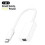 Thunderbolt 3 to Thunderbolt 2 Adapter Type C for MacBook 1