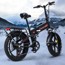 Randride YX20M 20" Electric Bike 48V 17AH Off-Road E-Mountainbike ebike 7 speed