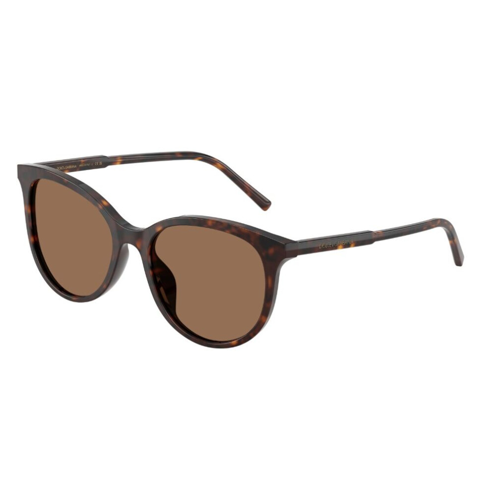 Dolce & Gabbana Brown Woman Dg4540 502/13 Sunglasses Acetate Turtle Pantos Normal - Image 2