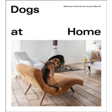 Dogs at Home by Marianne Cotterill Hardcover Book