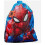 Boys Spider-Man Blue Trainer Bag PE Swimming 1