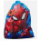 Boys Spider-Man Blue Trainer Bag PE Swimming 5