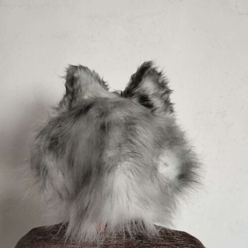 (Grå varg) Skrämmande grå Wolf Latex Mask 2